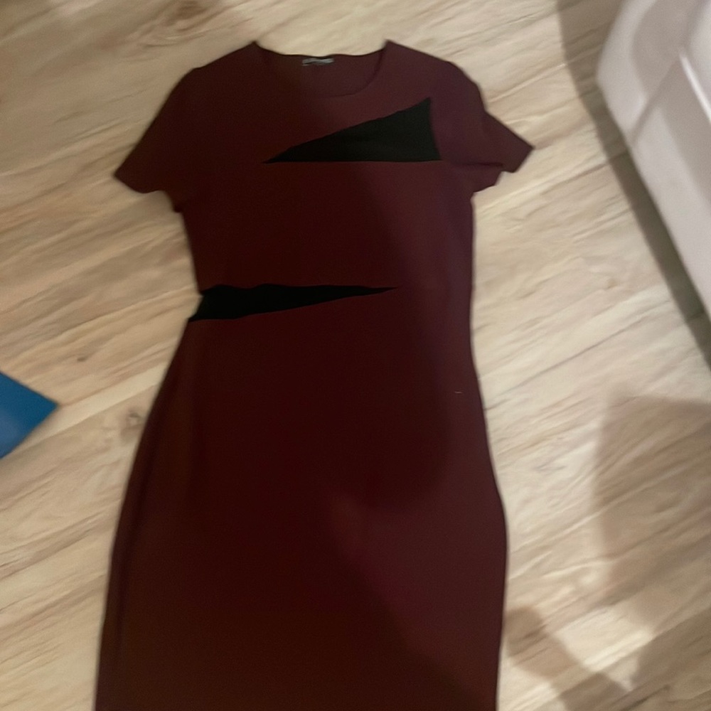 Fitted burgundy express dress